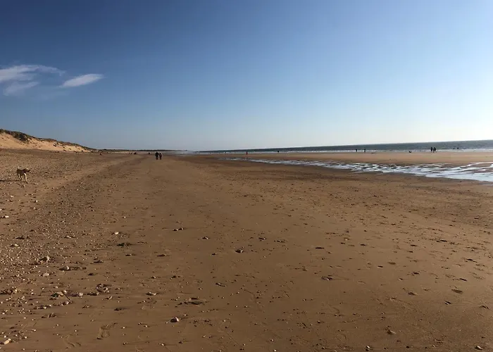 La Vieille Cure, Spa, Wifi A 20 Min Des Plages Ferienhaus La Jonchere